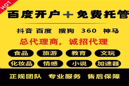科技公司SEM关键词营销战略及实施效果